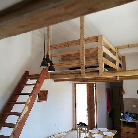 Apartment Zola Gornji Karin Εξωτερικό φωτογραφία