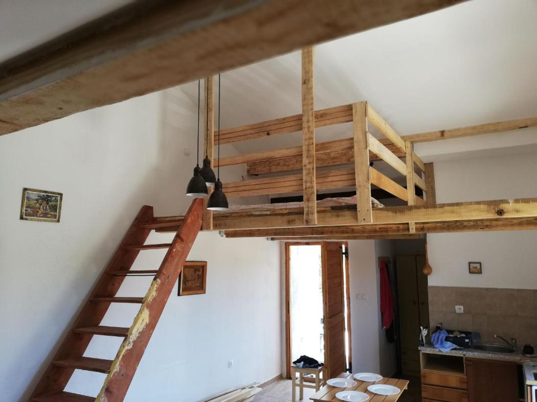 Apartment Zola Gornji Karin Εξωτερικό φωτογραφία