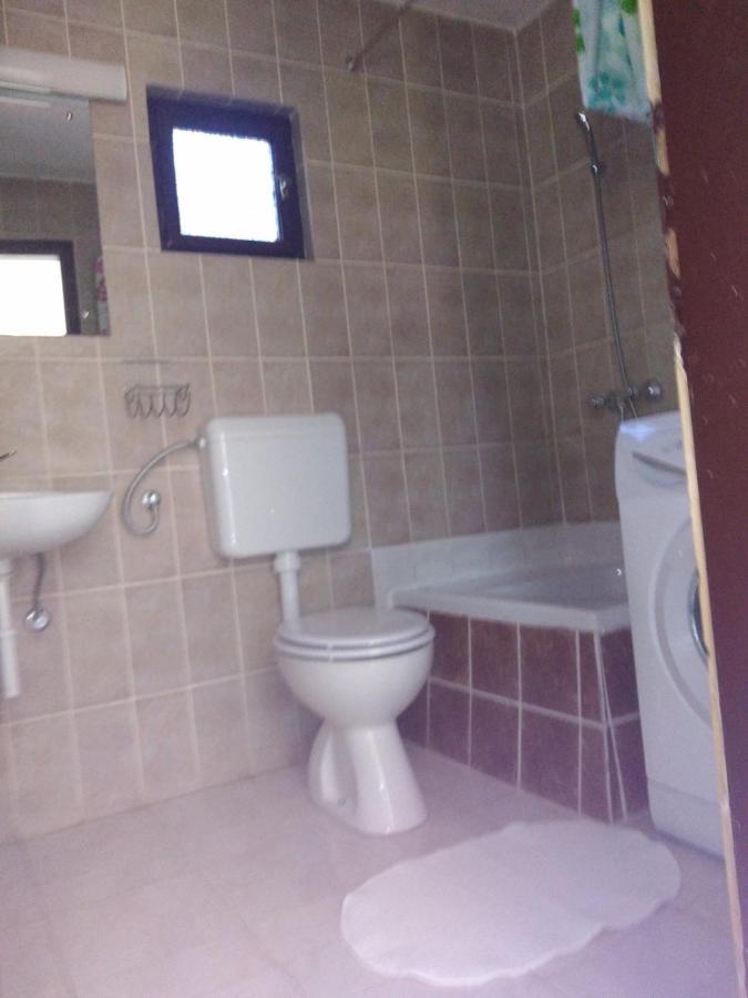 Apartment Zola Gornji Karin Εξωτερικό φωτογραφία