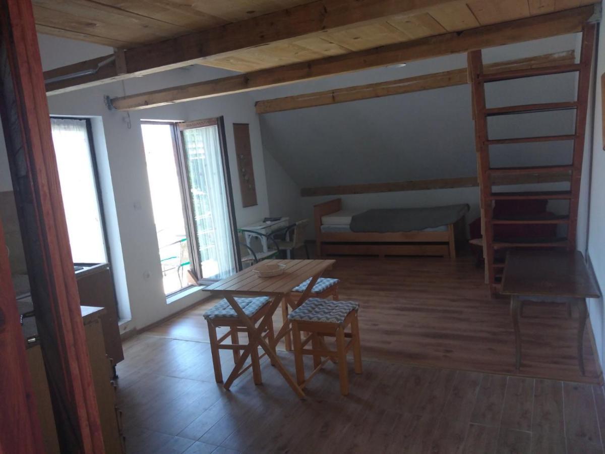 Apartment Zola Gornji Karin Εξωτερικό φωτογραφία